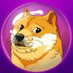 DogeDash (@dogedash_erc) Twitter profile photo DogeDash (@dogedash_erc) Twitter profile photo