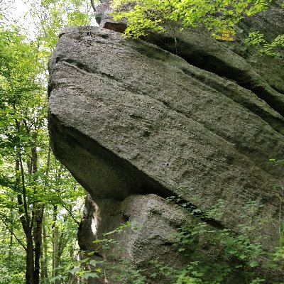 CMLasky's profile picture. Library Assistant, MLIS student, knitter, crocheter, crafter