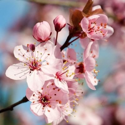 t3bZqJMkqE2115's profile picture. 