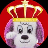 わんわん🟨🐶🟪 (@btc_1226) 's Twitter Profile