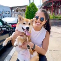 Priya Bhimani Shah (@priya392b) 's Twitter Profile