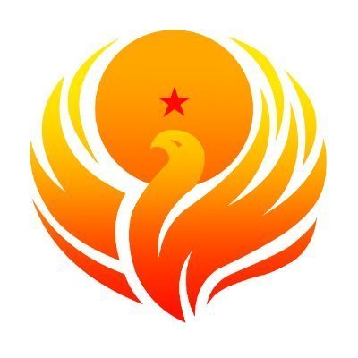 Dokkan Phoenix 的 中文 Twitter 帐户