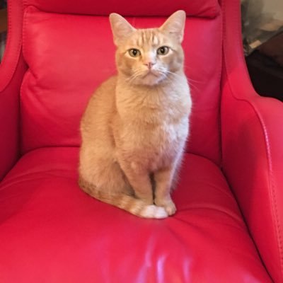 PZGinsights's profile picture. 