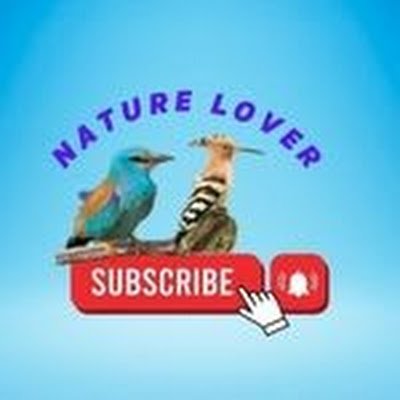 Nature & Bird Lover, Birdwatcher, Wildlife Photographer,
I love making funny videos with birds from live cams as well as take photos and make videos of birds.