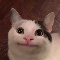 haru (@harucyan5) Twitter profile photo