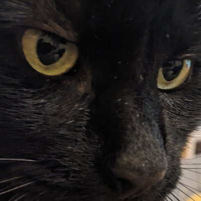 Now at https://t.co/eb4TQQPviY
Will no longer be posting here