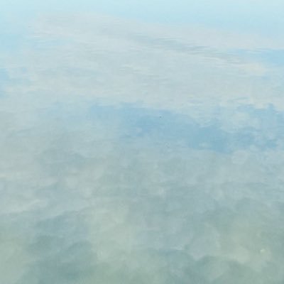 ai____hrr's profile picture. 01’ ヨルシカ/ずっと真夜中でいいのに。/Cö shu Nie/Arakezuri/chef’s/トップシークレットマン