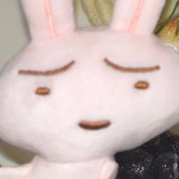 아무 (@amustew) 's Twitter Profile Photo 아무 (@amustew) 's Twitter Profile Photo