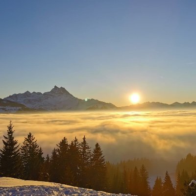 MichaelArn21's profile picture. 