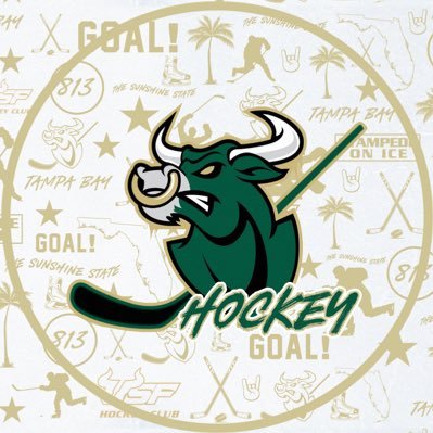Official Twitter for the Men’s Hockey Club at University of South Florida. Est. 1989 | Home Rink @AHCenterIce | CHS | CHF DII | FB, IG, TikTok: @HockeyClubUSF