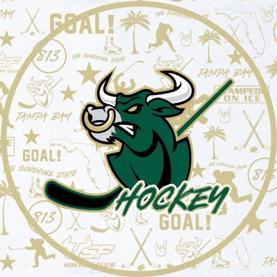 Hockey Club USF