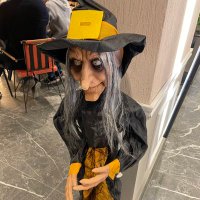 Cadınınevi Kordon (@cadnevi035) 's Twitter Profile
