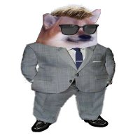JamesBonkFella!🇺🇦🌻🇳🇱🍉🇧🇦 (@daves1331) 's Twitter Profile
