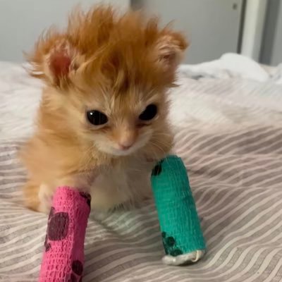 pvrsxnvl_mxde's profile picture. Nada es esta vida es imposible, niuna wea