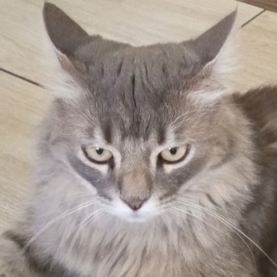 Julia44500103's profile picture. 