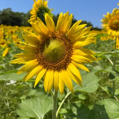 三重県在住