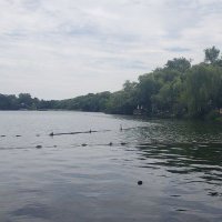 朝夜园 (@asayo66720924) Twitter profile photo