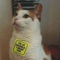 Jackie/Intern L. (They/Them) (@internlbleeding) 's Twitter Profile