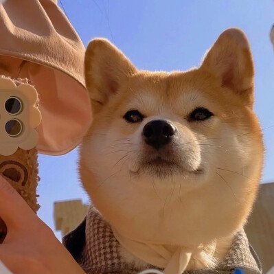 maiery1986's profile picture. oJBK