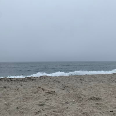 BiotechFuru's profile picture. 