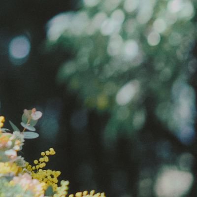 KYOTOOOOOOOOO's profile picture. ぱ