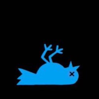 بدر (@khbadr) Twitter profile photo