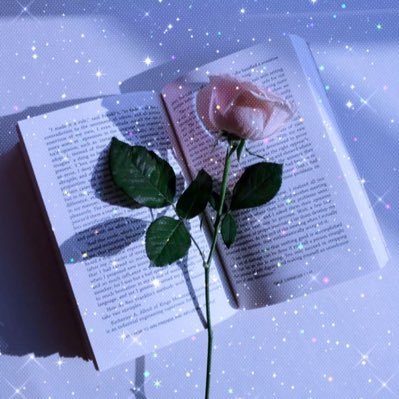 mariamsherif166's profile picture. 25/12 ♑️ 🤍 Curious and desperate for growth ✨