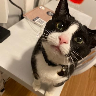 feelmeinthebass's profile picture. Chicago 📍