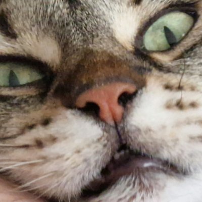 akrypo's profile picture. 