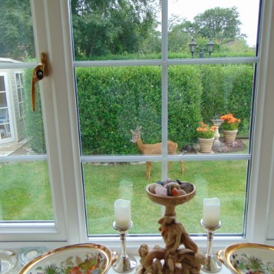 AlistairMBruce's profile picture. The choices we make in our life don't have to define us. It's what we learn from them that's important.