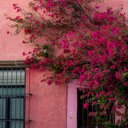 Peggy Framead - @PeggyFrame10238 - Twitter