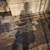 Dolores Martínez (@dolores_m1961) 's Twitter Profile