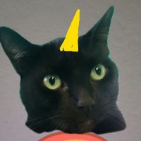 All cats are beautiful! (@stefonfire) 's Twitter Profile