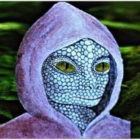 Lizard (@lcx_highborn) 's Twitter Profile