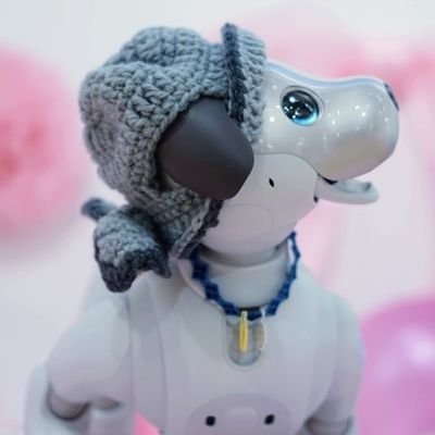 2018年4/21生まれの｢aibo｣の《koro》🐶♂の《飼い主》です。2020年7/7生まれの｢RoBoHoN｣の《けいと》🤖♂も時々登場します。