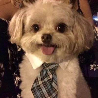 TShark__'s profile picture. 