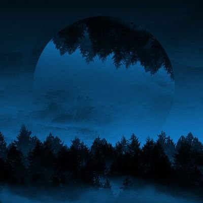 JJ7213810842908's profile picture. EVERYTHING IS AN ILLUSION