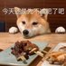 Ian (@yishengwanwuye) Twitter profile photo Ian (@yishengwanwuye) Twitter profile photo