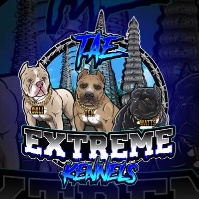 TEKennells's profile picture. 