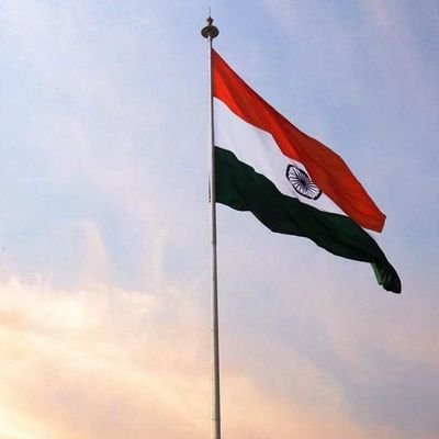 vishwassams's profile picture. 