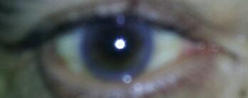 publiceye1947's profile picture. interested in second amendment rights, conservative thinking, citizen rights, small government