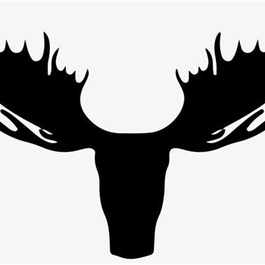 moose_bearded's profile picture. 