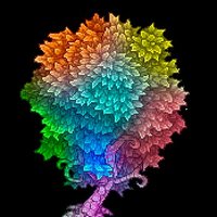 That Gaming Tree (@that_game_tree) 's Twitter Profile