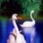 xerakisurut's profile image
