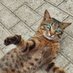 Детектор, ржи! (@ohuennos) Twitter profile photo Детектор, ржи! (@ohuennos) Twitter profile photo