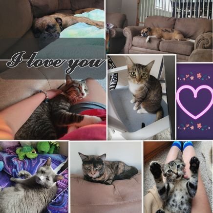 zorry_char's profile picture. 8.26.21- PPW
4.23.24- WE
4.20.19- YW
Narawins, PerthSanta's Teerak, Dailys, DungJang, SomSoms, Khun Noo, Westies, Mooyors/ Mixyors/Interyor, Auralis
*BL Addict*