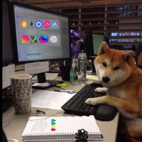 @Digitalfarmer (@cryptoiq1) 's Twitter Profile
