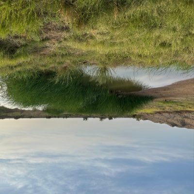 Tt500tt5005's profile picture. 