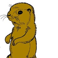 Lancelot American🇺🇸🇮🇱 (@lancelotameric1) 's Twitter Profile