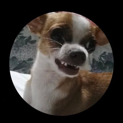 Fershark2002's profile picture. 